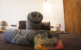 Fisheye Room